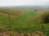 Looking  north  across  Calstone  Barn, from  the  Roman  Road.