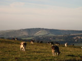 Cuckmere  Valley