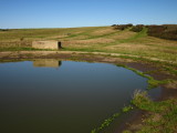 A  concrete  lined  dewpond.