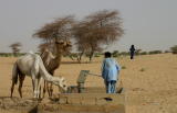 water well, sahara desert