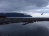 Scenery (Gros Morne)