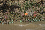 DSC_2619.jpg
