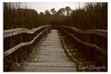 Boardwalk