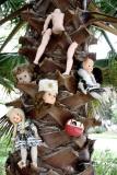 The Family Tree