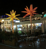 Neon Palm trees, Sharm 2005