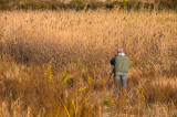 DSC_4058.jpg - Bird Watcher