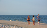 A Walk on the Beach