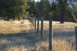 Refuge Fenceline.jpg