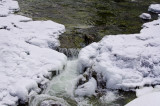 Swan River Ice