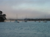 Foggy morning from ferry - Okiato to Opua