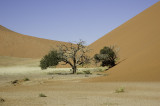 sossusvlei6.jpg