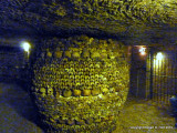 Artistic Bones