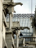 Gargoyles of Notre Dame