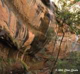 Zion Narrows.JPG