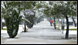 Pozuelo nieve -enero 2009-116.jpg