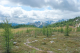 Gibbon pass