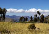 Fields near Yumani