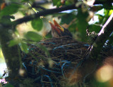 2008_0515_151956.jpg