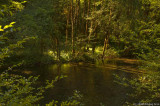 D3-091208-078.jpg