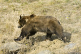 D3-091908-202.jpg