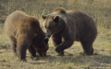 D3-091908-271.jpg