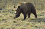 D3-091908-322.jpg