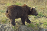 D3-091908-402.jpg