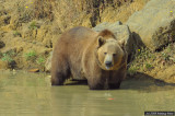 D3-091908-408.jpg