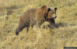 D3-091908-429.jpg