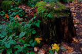 D3-100308-133.jpg