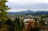 D3-100308-220.jpg