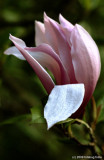 D70-050109_003.jpg