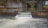 D3-040209_063x.jpg