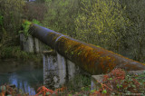 D3-040209_076a.jpg