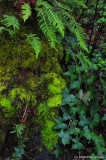 D3-040209_088x.jpg