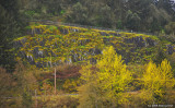 D3-040209_128x.jpg