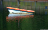 D3-072509_209.jpg