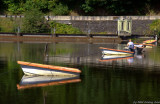 D3-072509_237.jpg