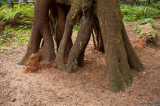 D3-090409_013.jpg