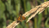 D3-080309_075.jpg