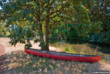 D3-080309_109-2.jpg