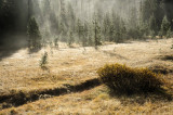 Ground fog