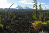 North and Middle Sisters across lava beds