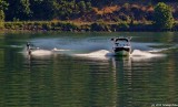 Waterskiing On Dexter Lake