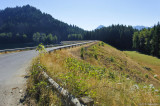 D700-081310_012
