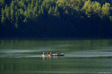 D700-081310_037