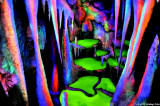 D5000-092510-037.jpg