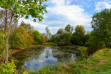 D3-100810-01r.jpg