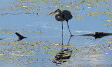D3-100810-292.jpg