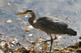 D3-100810-382.jpg